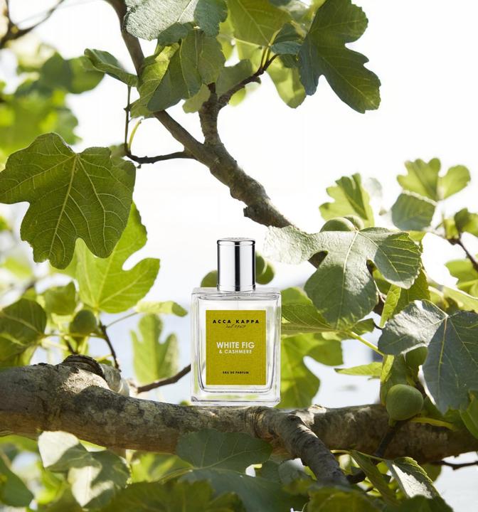 Actual product image Acca Kappa White Fig Cashmere (Eau de parfum, 100 ml)