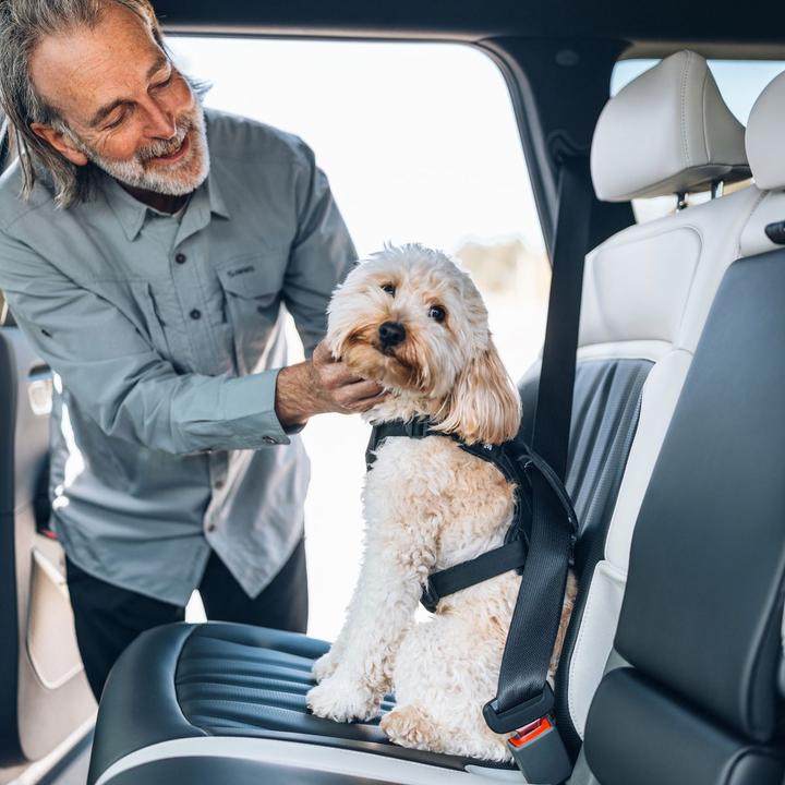 Image du produit Thule Cappy (Chien, Lavable, Respirant)