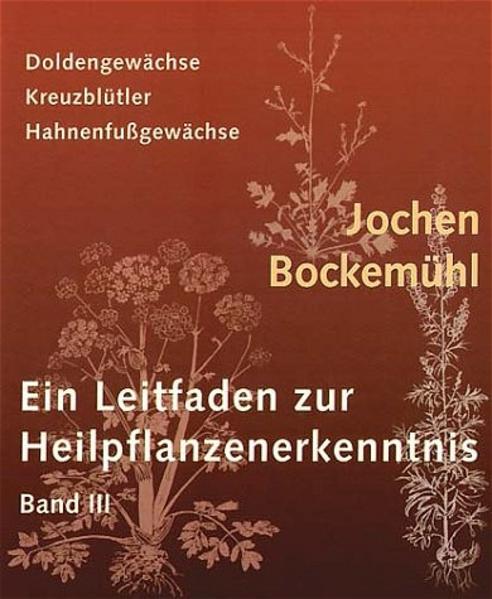 Produktbild Ein Leitfaden zur Heilpflanzenerkenntnis (Band 3): Ein Leitfaden zur Heilpflanzenerkenntnis (Deutsch, Jochen Bockemühl, 2003)