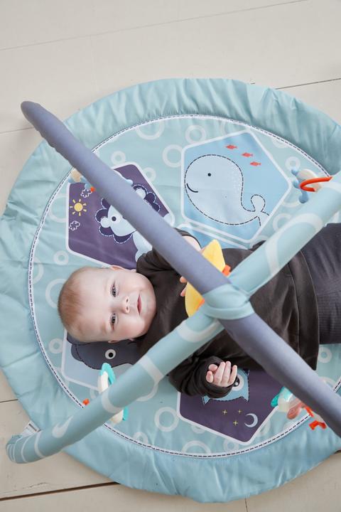 Image du produit Scandinavian Baby Products Zoo Activity Gym