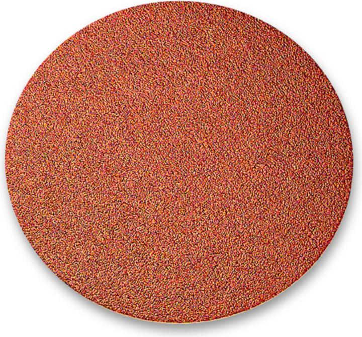 Produktbild SIA Schleifscheibe (k80)