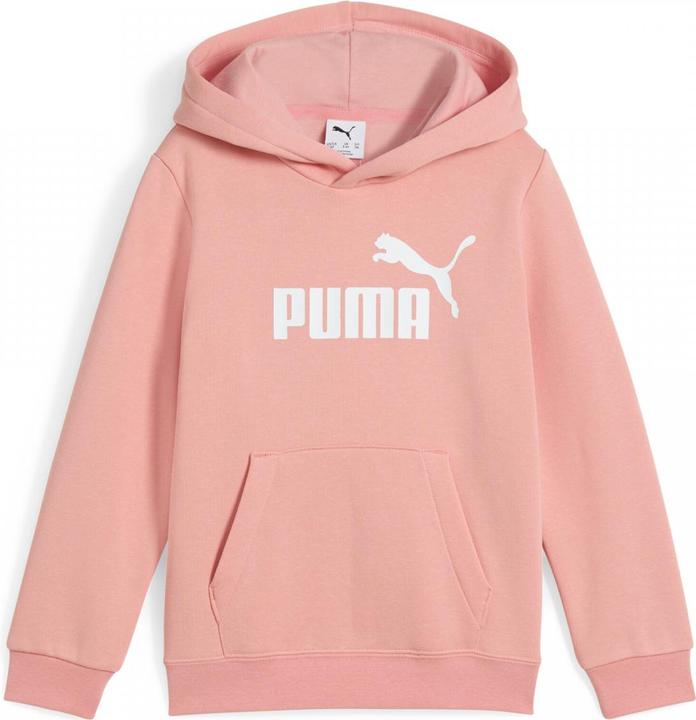 Image du produit Puma Sweat à capuche ESS No. 1 Logo FL PS (116)