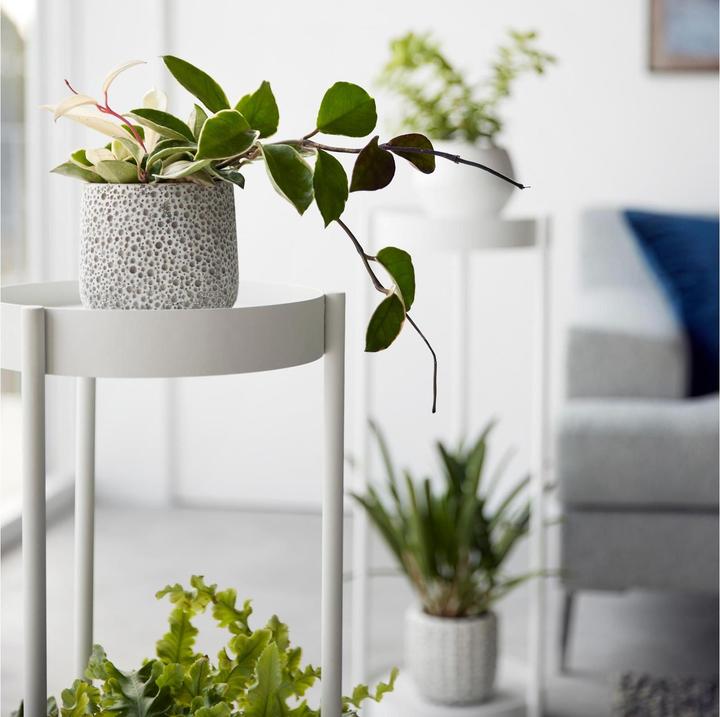 Actual product image Yamazaki 2-tier plant stand with castors TOWER