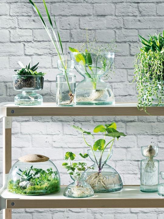 Image du produit LSA Canopy Geschlossenes Garten H16.5cm - recy. Optik (1 x)