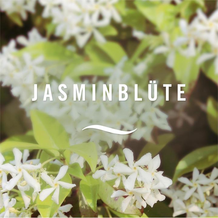 Produktbild Febreze Bali