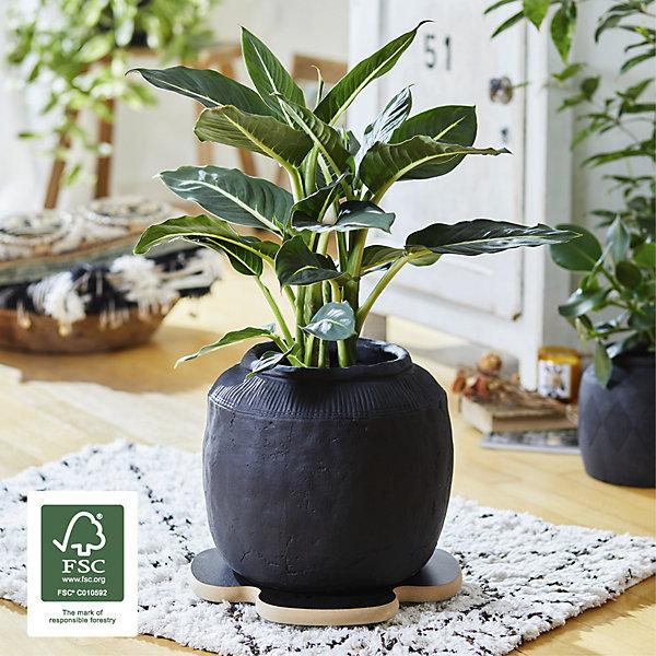 Produktbild Wagner System Roller