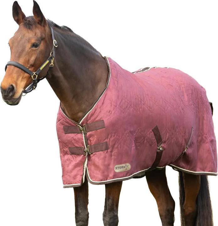 Immagine prodotto Storm X Empra Collo Standard Tappeto per Mostra del Cavallo