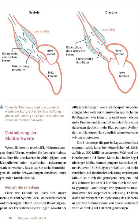 Actual product image Expertenwissen: Bluthochdruck (German, Ines Mikisek, Thomas Mengden, 2024)