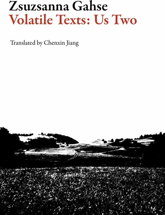 Produktbild Volatile Texts (Englisch, Chenxin Jiang, Zsuzsanna Gahse, 2017)