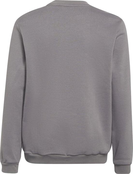 Produktbild adidas Entrada 22 Sweatshirt Kinder (176)