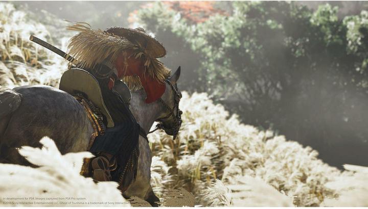Immagine prodotto Sony Ghost of Tsushima Director’s Cut (PS4, Francese, Italiano, tedesco)