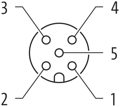 Produktbild Murr Elektronik MURR 7000-40521-6430500