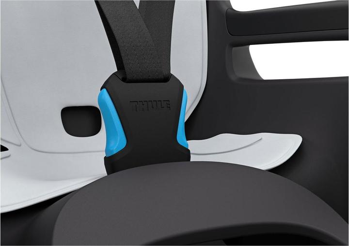 Image du produit Thule Ride Along 2 Rack Mount - Dark Grey (Porte-bagages)