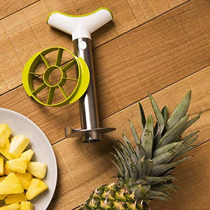 Actual product image Vacu Vin Pineapple slicer Inox
