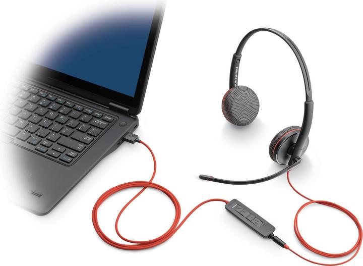 Immagine prodotto Poly Blackwire 3225 (Cablato, USB-A)