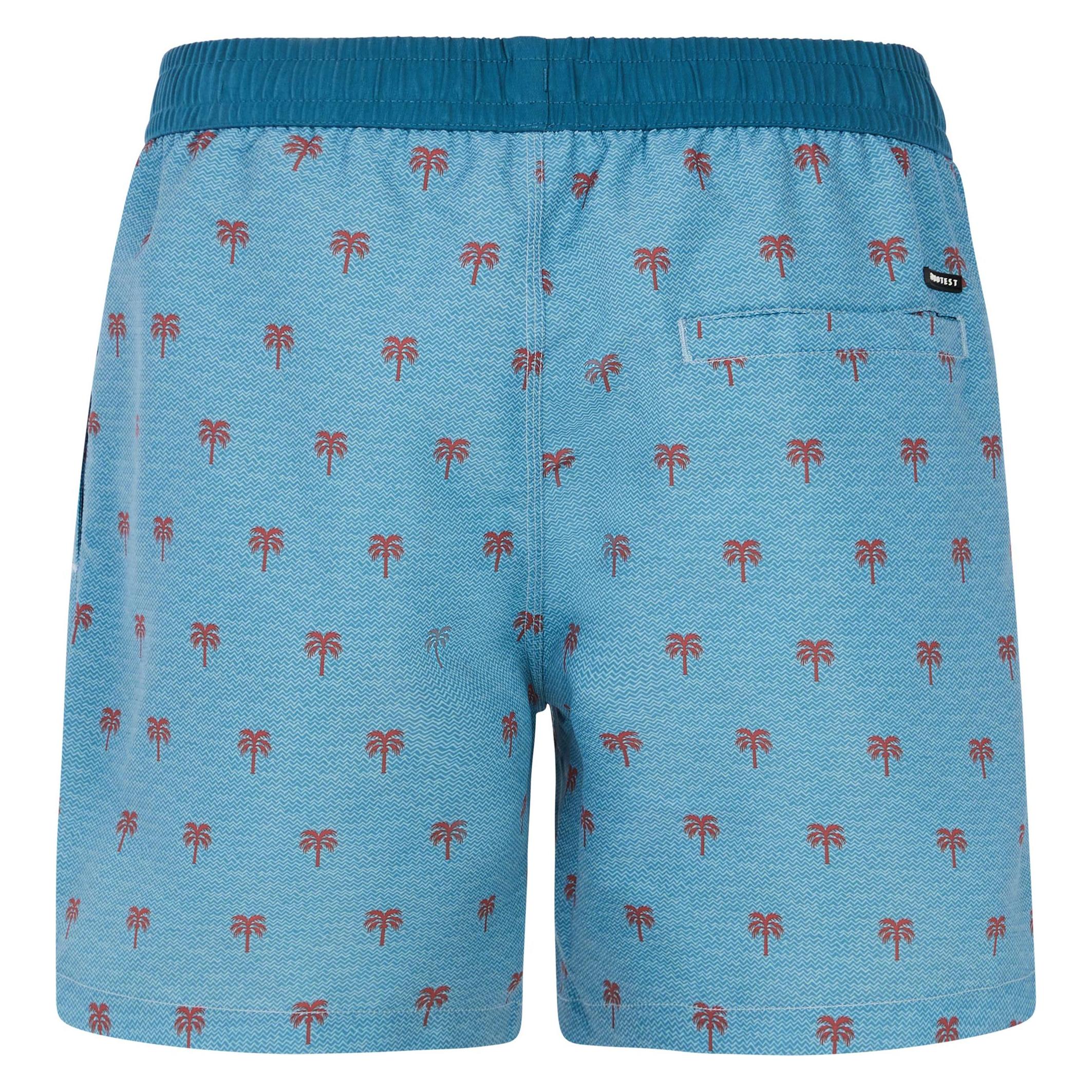 Protest, Herren, Shorts, Herren PRTParco Strandshorts Blau, Blau, (L)