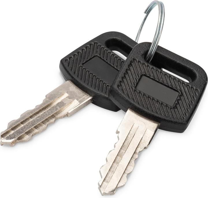 Digitus Key for wall-mounted enclosure, 2 pcs. 10", 19" SOHO, 19" Dynamic