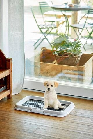 Produktbild Kerbl Puppy Training Set (Hund)