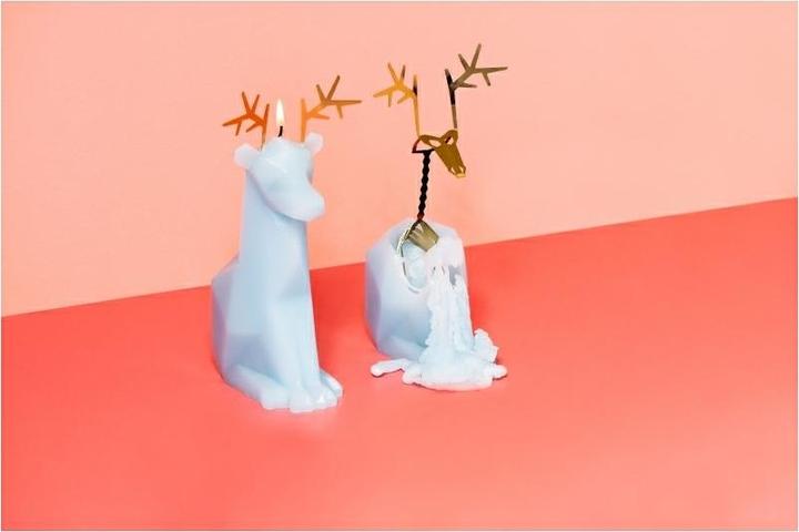 Image du produit 54Celsius PyroPet Dyri (1 pcs)