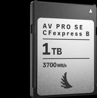 Actual product image Angelbird AV PRO SE CFexpress B (1000 GB, CFexpress type B)