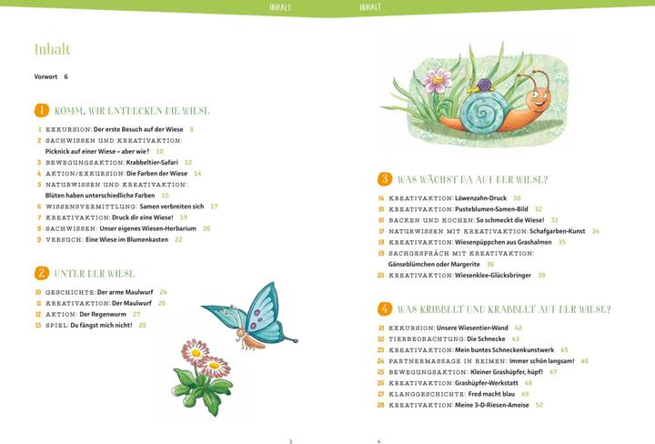 Produktbild Projektreihe Kindergarten - Die Wiese (Deutsch, Anja Mohr, Rebecca Meyer, 2023)