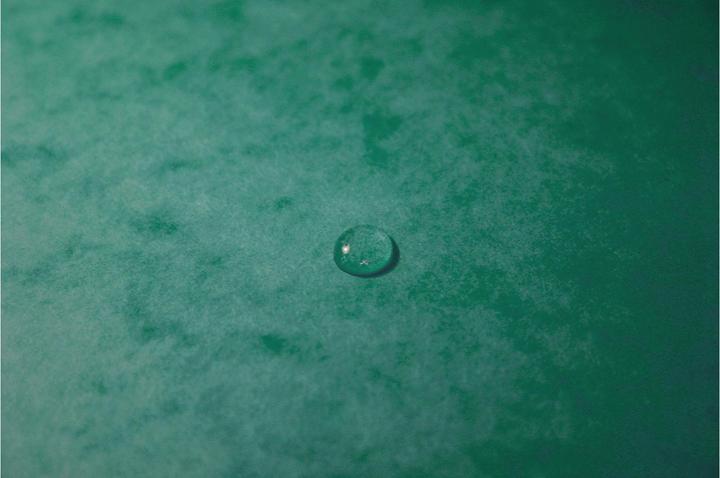 Actual product image Exacompta Folder (A4, 17x)