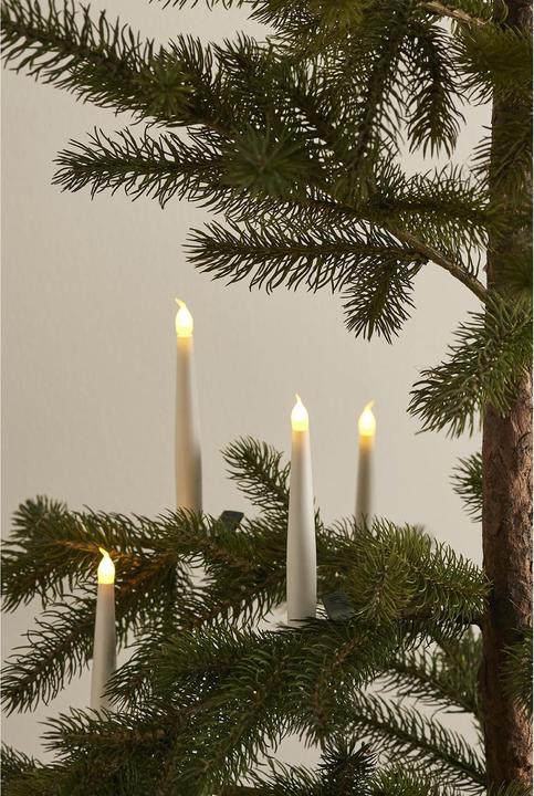 Produktbild Sirius Baumkerze Caroline Erweiterung (4x)