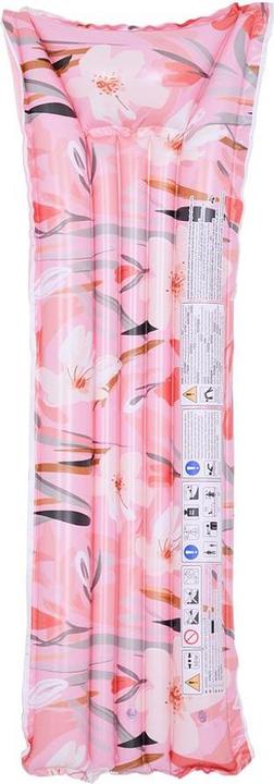 Actual product image Jilong Air mattress