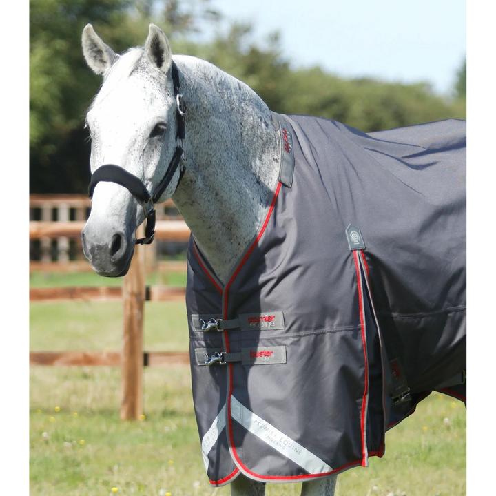 Immagine prodotto Premier Equine Buster 50 g (152 cm)