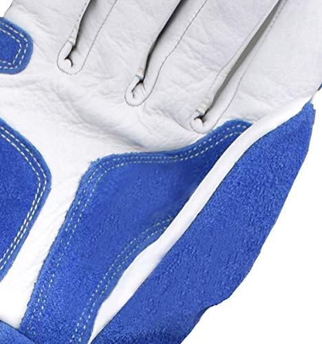 Produktbild Cptdcl Anti-Biss Tierhandschuhe (L)
