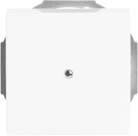 Produktbild Busch-Jaeger Zentralscheibe