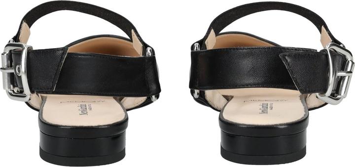 Produktbild Nero Giardini Ballerinas (41)