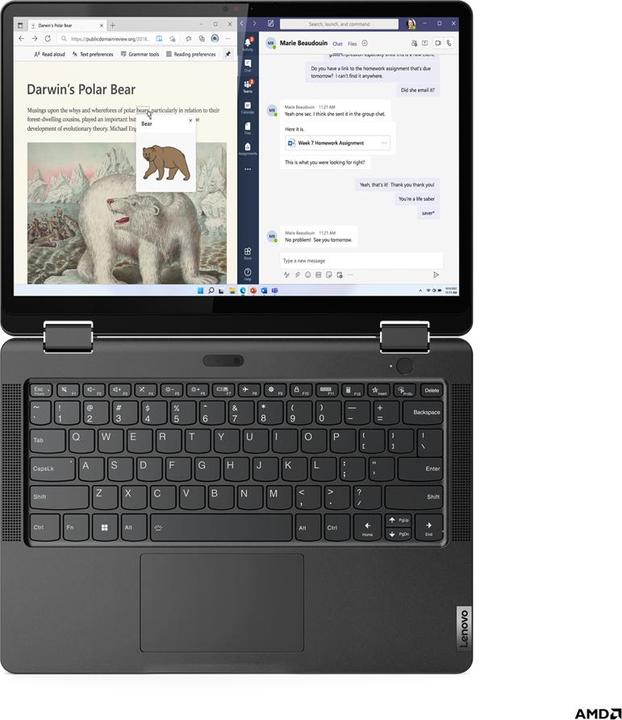 Productafbeelding Lenovo 13w Yoga Tweede Generatie (13' AMD) | 33,02 cm (13') 2-in-1 Notebook voor het Onderwijs (13.30", 16 GB, 512 GB, IT)