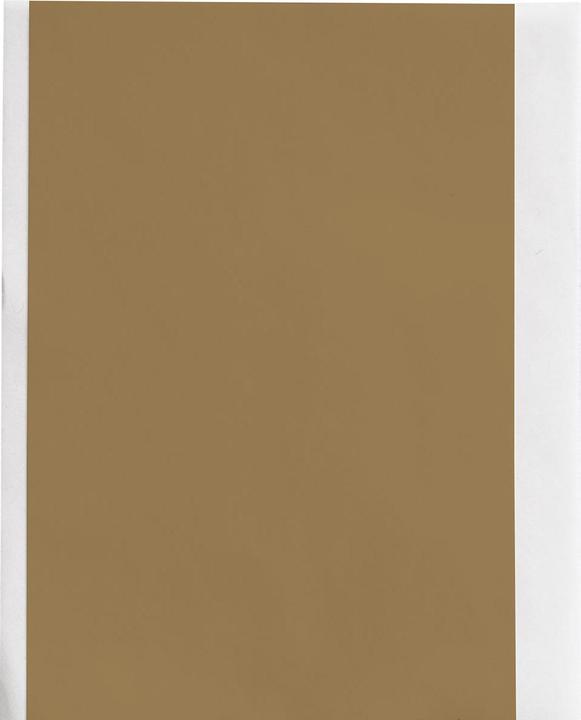 Image du produit Brady M6C-2000-595-GD, ruban vinyle haute performance, or, brillant, 50,80 mm x 15,24 m, permanent, fin (5.08 cm)