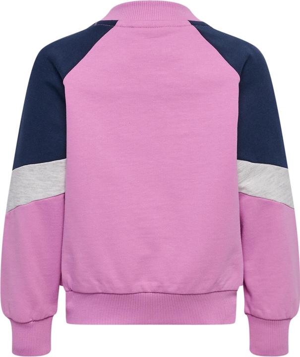 Actual product image hummel Hmlmini Loose Block Zip Jacket (92)