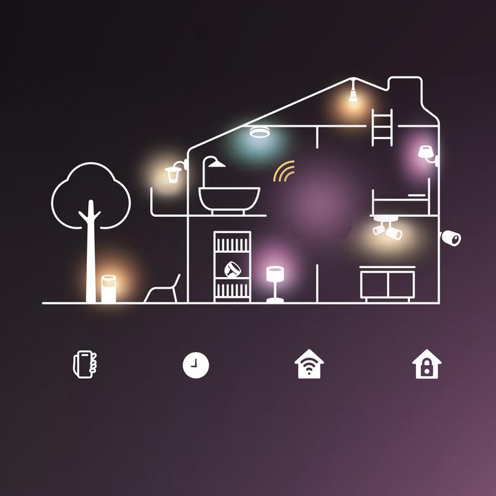 Actual product image Philips Hue Basis Flex (Multicoloured, 500 cm, Indoor)