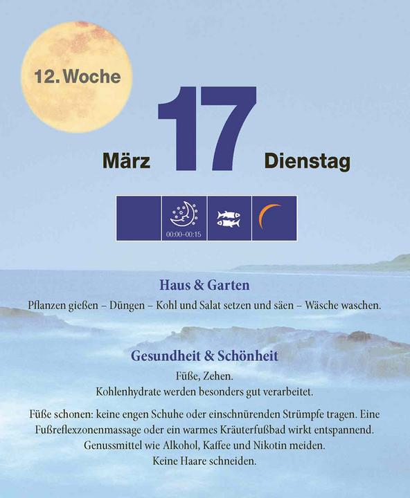 Produktbild Mond Abreisskalender 2026 (12 x 16 cm)