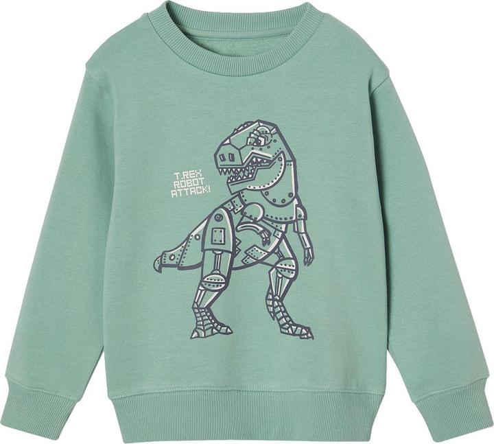 Produktbild Vertbaudet Jungen Sweatshirt BASIC mit Print und Recycling-Polyester (92)