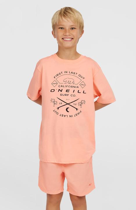 Produktbild O'Neill VERT 14" SWIMSHORTS