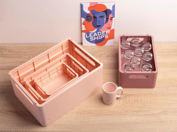 Actual product image Exacompta Boîte pliable The Smart Case midi Skandi - Nude (1.44 l)