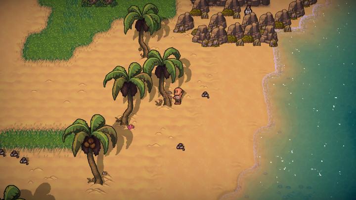 Image du produit Plaion Les survivalistes (PS4, EN)