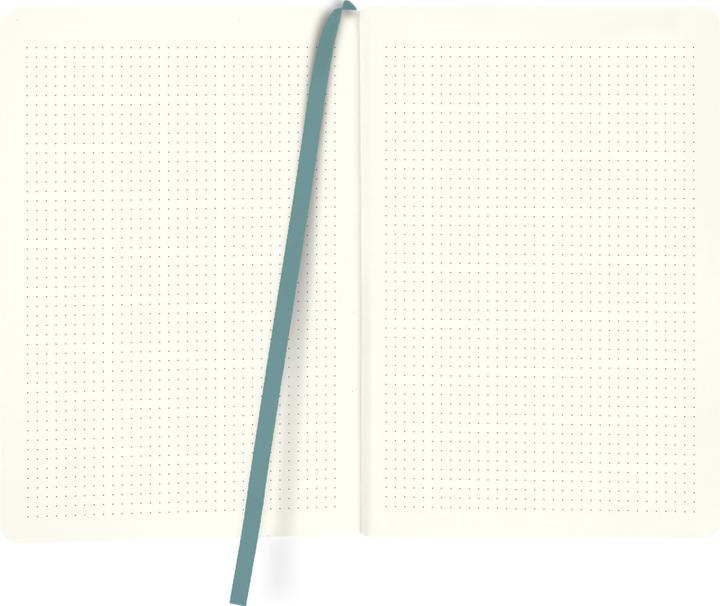 Actual product image Notebook A5 dotted myNOTES Dream Big (A5, Checked)