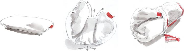 Immagine prodotto Hefel Cuscino da viaggio (Cuscino per testa e collo)