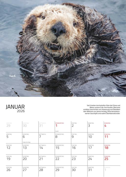 Produktbild Otter Kalender 2026 Wandkalender Eintragkalender
