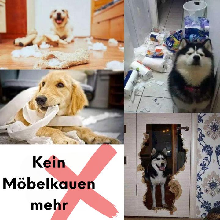 Produktbild Suba Schnüffelteppich (Futterspielzeug Hund)