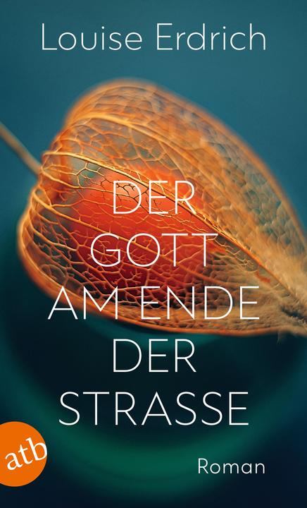 Actual product image Der Gott am Ende der Strasse (German, Gesine Schröder, Louise Erdrich, 2022)