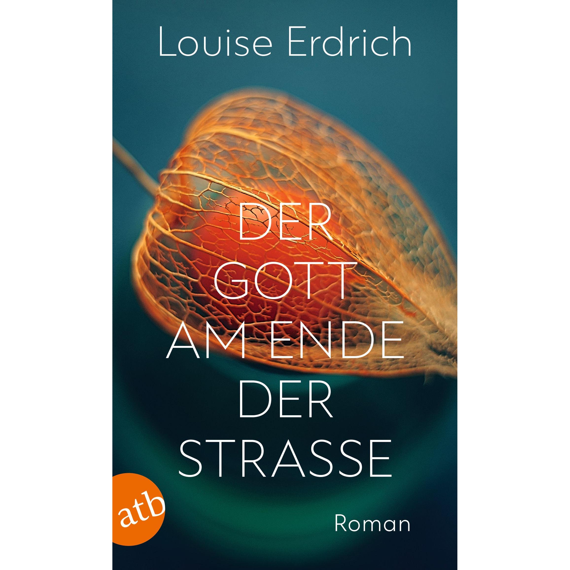 Der Gott am Ende der Strasse, Belletristik von Louise Erdrich