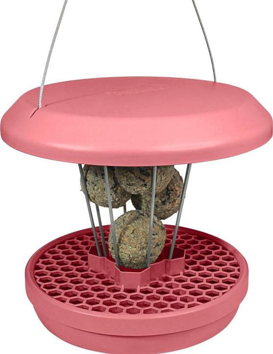 Productafbeelding Swissinno Vogel-Futtersilo Lucerne dusty rose SMART BIRDS