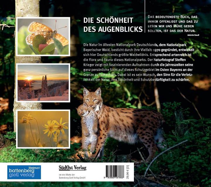 Produktbild Die Schönheit des Augenblicks (Deutsch, Steffen Krieger, 2018)