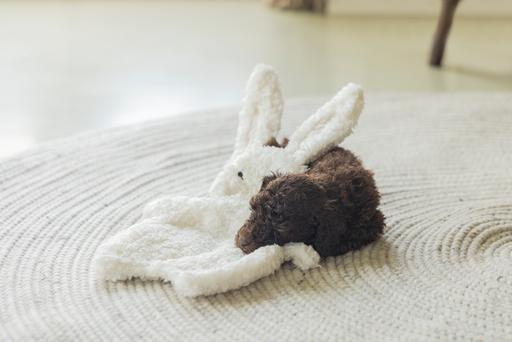 Immagine prodotto Beeztees Nijno (Giochi per cuccioli)